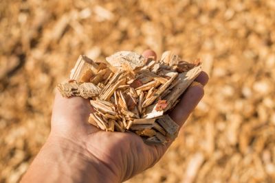 Wood Chipping - Wood Chipping Panama City Beach, Florida