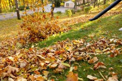 Leaf Gutter Cleaning Service - Leaf Removal Plano, Texas