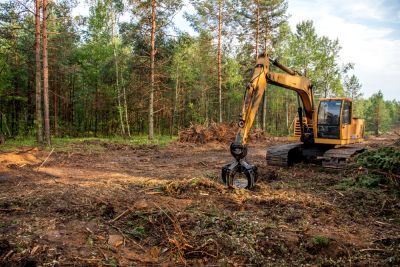 Land Clearing Service - Tree Service Coopersburg, Pennsylvania