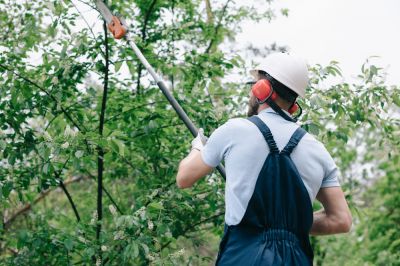 Tree Trimming - Tree Service Coopersburg, Pennsylvania